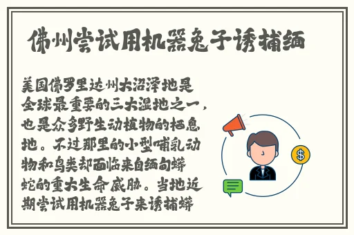 国产无线乱码新区